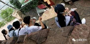 吃瓜娱乐小分队,揭秘娱乐圈幕后故事