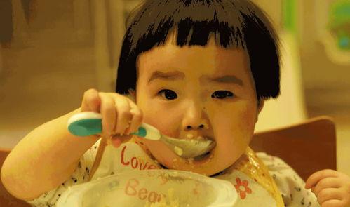 娱乐吃瓜酱说父母,明星父母的育儿经与生活点滴