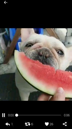 喜欢做吃瓜群众的心理,吃瓜群众眼中的明星幕后故事