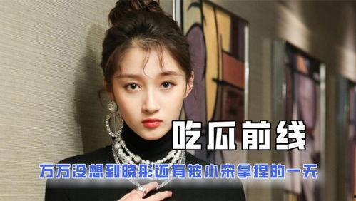 娱乐圈吃瓜成毅是谁主演