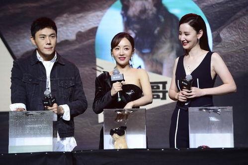 718娱乐圈吃瓜汇总,揭秘明星幕后故事，吃瓜汇总大盘点