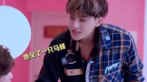 鹿晗娱乐吃瓜是真的吗